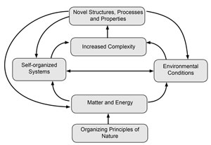 self-organizing systems figure 1
