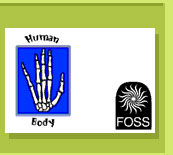 FOSS Human Body Activity